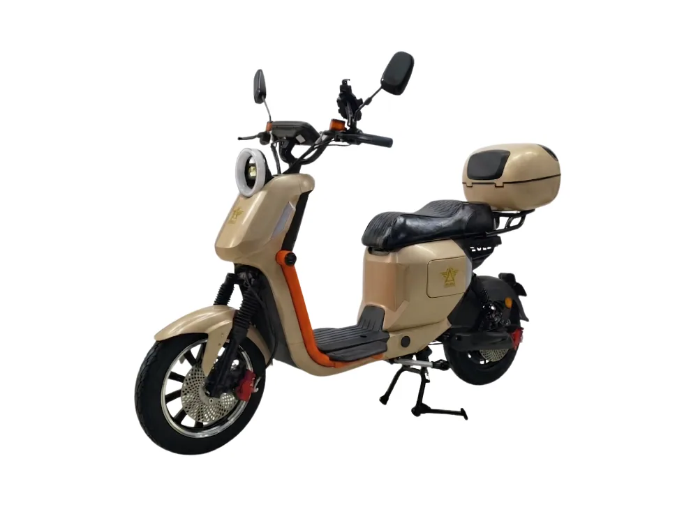 MB 08 V2 — Bege